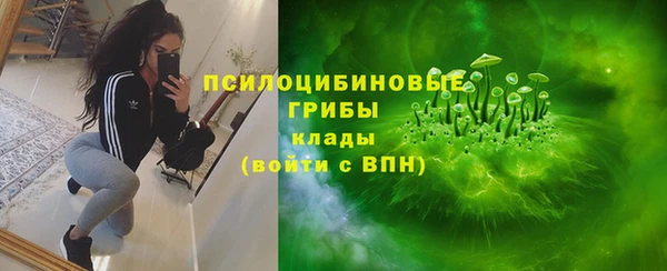 стафф Иннополис