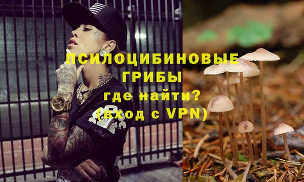 COCAINE Инсар