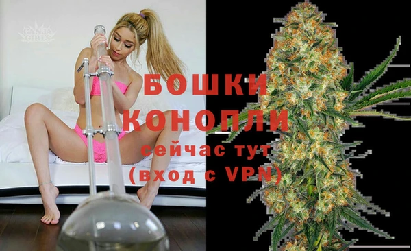 mdpv Каменка
