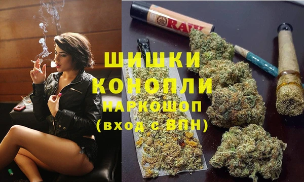 mdpv Каменка