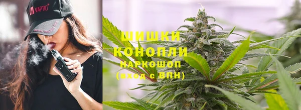 стафф Иннополис